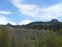 Detunatele