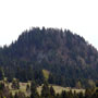 Detunatele